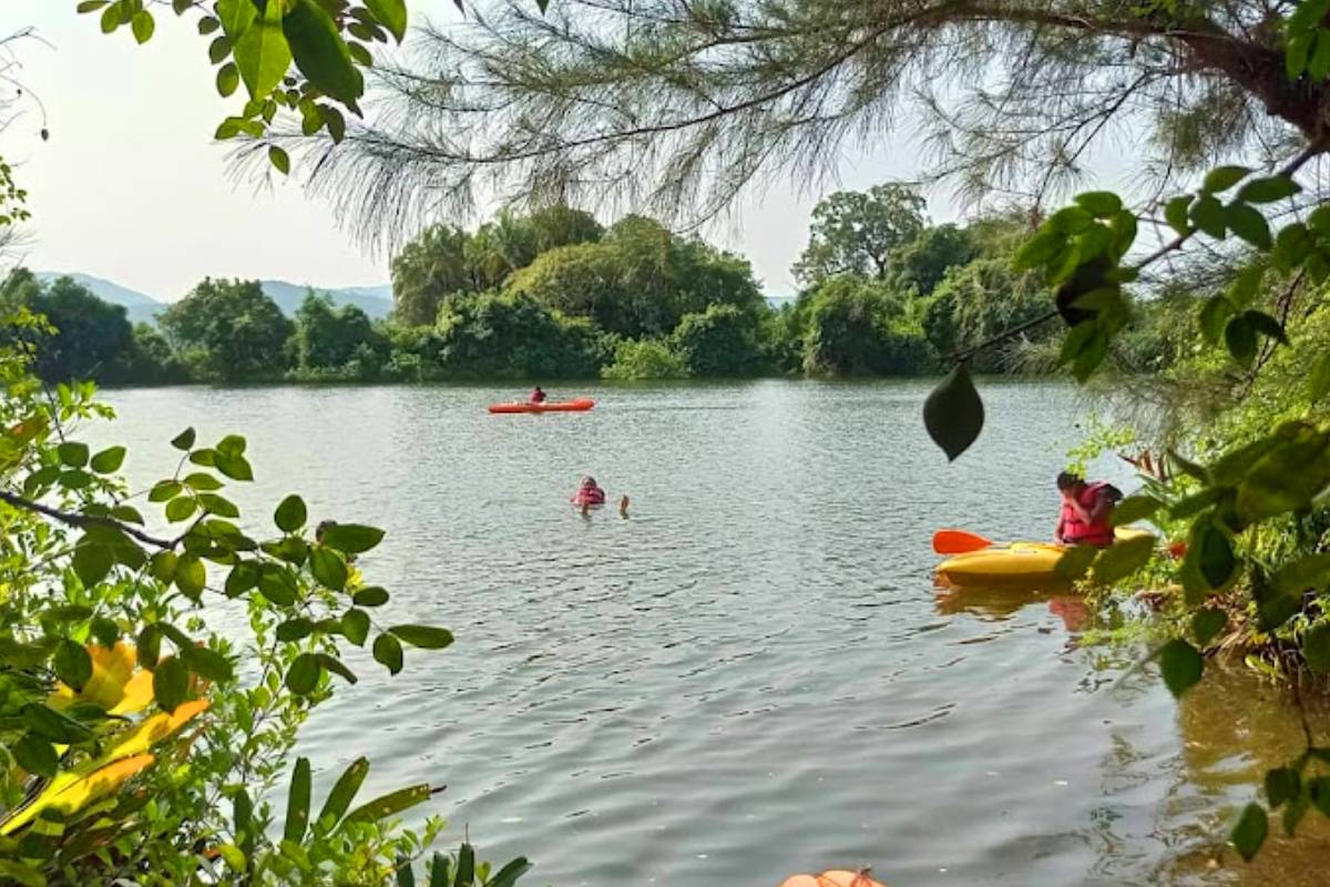 Kali River backwaters